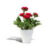 Bell Flower - Image 2
